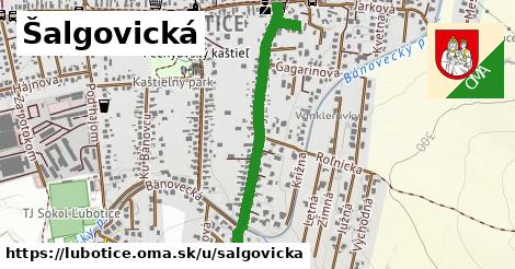 ilustrácia k Šalgovická, Ľubotice - 0,93 km