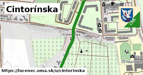 Cintorínska, Lučenec