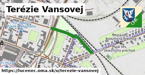 Terézie Vansovej, Lučenec