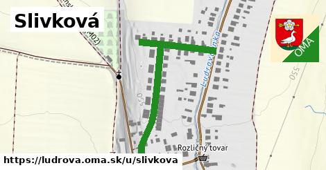ilustrácia k Slivková, Ludrová - 497 m