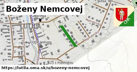 Boženy Nemcovej, Lutila