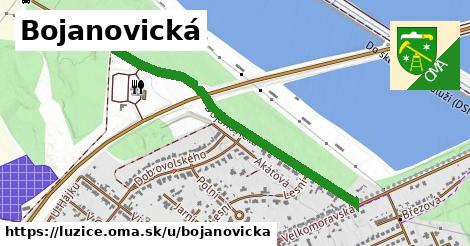 ilustrácia k Bojanovická, Lužice - 0,94 km