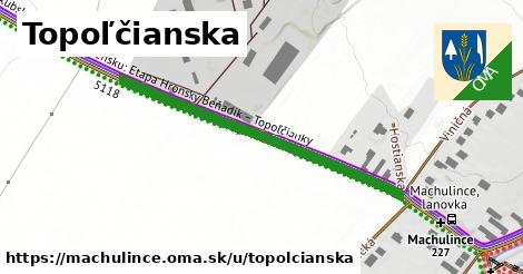 ilustrácia k Topoľčianska, Machulince - 437 m