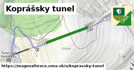 ilustrácia k Koprášsky tunel, Magnezitovce - 245 m