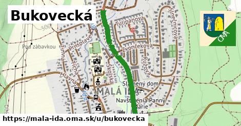 Bukovecká, Malá Ida