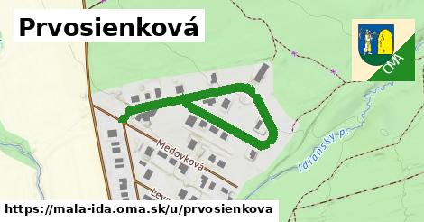 ilustrácia k Prvosienková, Malá Ida - 522 m