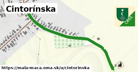 ilustrácia k Cintorínska, Malá Mača - 650 m