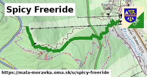 ilustrácia k Spicy Freeride, Malá Morávka - 1,34 km