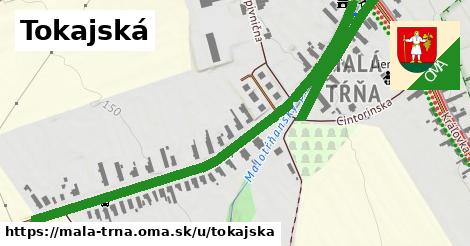 ilustrácia k Tokajská, Malá Tŕňa - 0,88 km