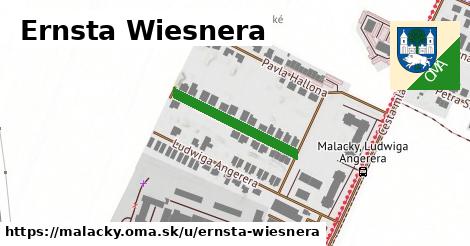 Ernsta Wiesnera, Malacky