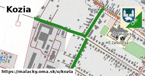 ilustrácia k Kozia, Malacky - 0,73 km