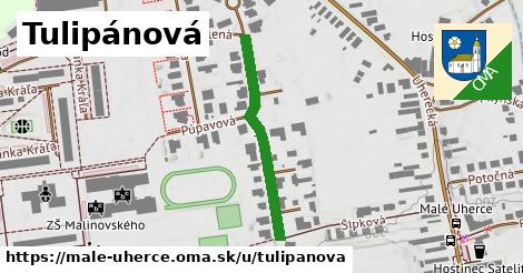 Tulipánová, Malé Uherce