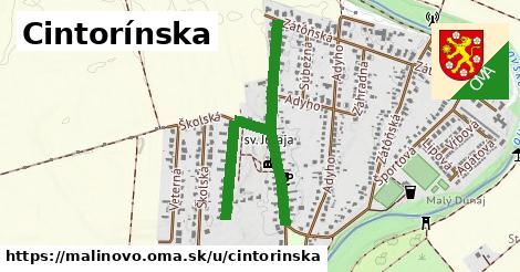 Cintorínska, Malinovo