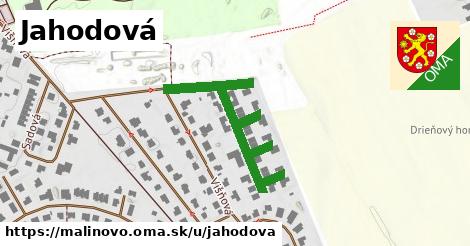 ilustrácia k Jahodová, Malinovo - 450 m