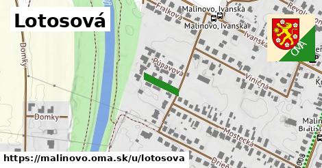 Lotosová, Malinovo