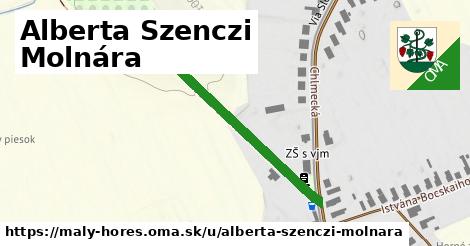 ilustrácia k Alberta Szenczi Molnára, Malý Horeš - 375 m