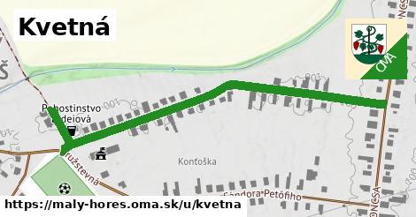 ilustrácia k Kvetná, Malý Horeš - 685 m