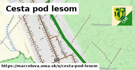 ilustrácia k Cesta pod lesom, Marcelová - 1,30 km