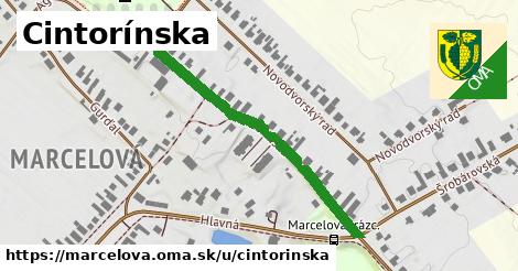 Cintorínska, Marcelová