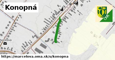 Konopná, Marcelová