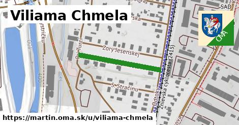 Viliama Chmela, Martin