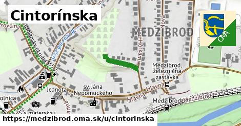 Cintorínska, Medzibrod