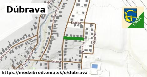 ilustrácia k Dúbrava, Medzibrod - 101 m