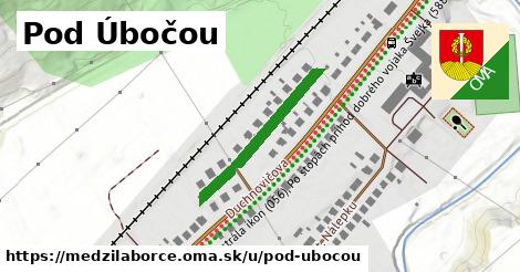 ilustrácia k Pod Úbočou, Medzilaborce - 249 m