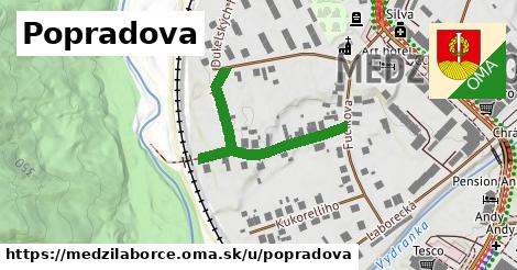 ilustrácia k Popradová, Medzilaborce - 391 m
