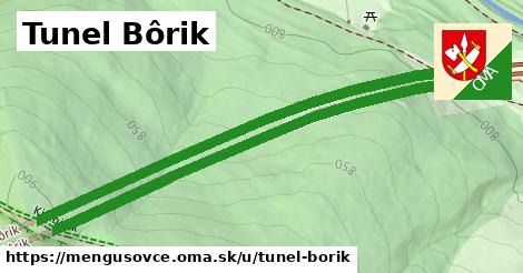 ilustrácia k Tunel Bôrik, Mengusovce - 1,32 km