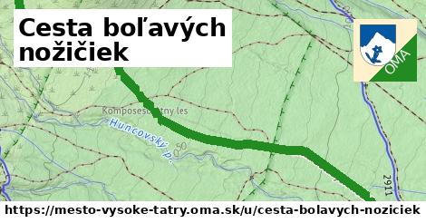 ilustrácia k Cesta boľavých nožičiek, mesto Vysoké Tatry - 2,4 km