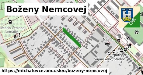 Boženy Nemcovej, Michalovce