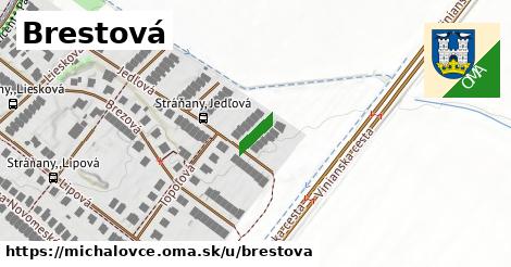 ilustrácia k Brestová, Michalovce - 64 m