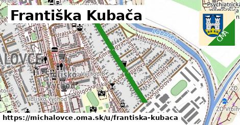 Františka Kubača, Michalovce