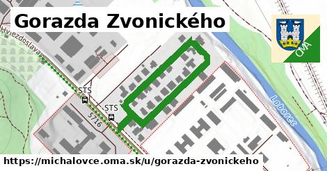 ilustrácia k Gorazda Zvonického, Michalovce - 588 m
