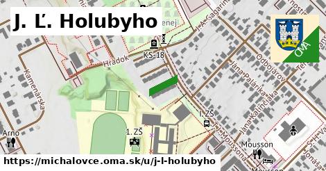 J. Ľ. Holubyho, Michalovce