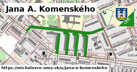 Jana A. Komenského, Michalovce