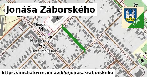 Jonáša Záborského, Michalovce