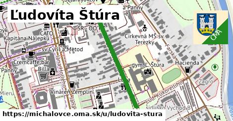 Ľudovíta Štúra, Michalovce