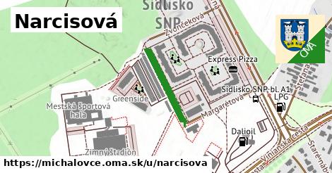 Narcisová, Michalovce