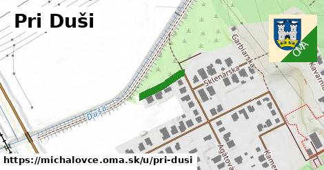 ilustrácia k Pri Duši, Michalovce - 116 m