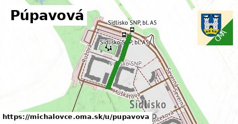 Púpavová, Michalovce