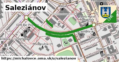 ilustrácia k Saleziánov, Michalovce - 0,71 km