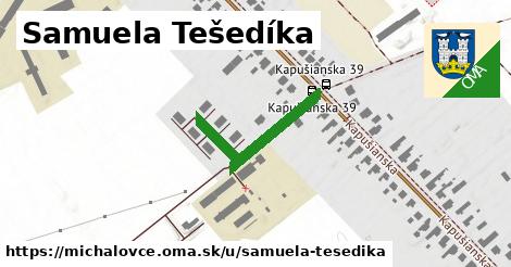 Samuela Tešedíka, Michalovce