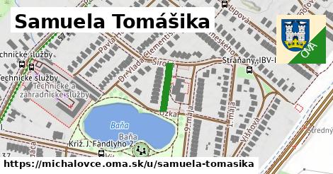 Samuela Tomášika, Michalovce