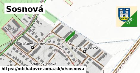 Sosnová, Michalovce