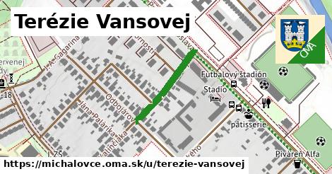 Terézie Vansovej, Michalovce