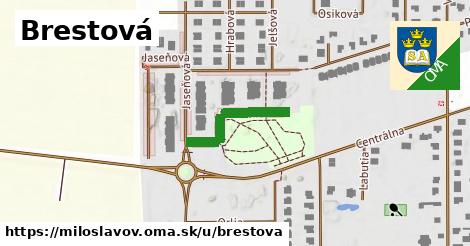 ilustrácia k Brestová, Miloslavov - 206 m