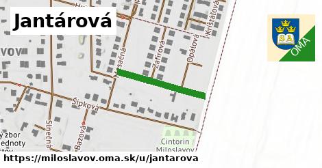 Jantárová, Miloslavov