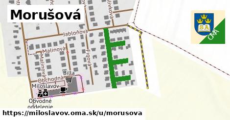 ilustrácia k Morušová, Miloslavov - 362 m